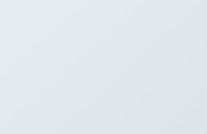 magic mushrooms kaufen