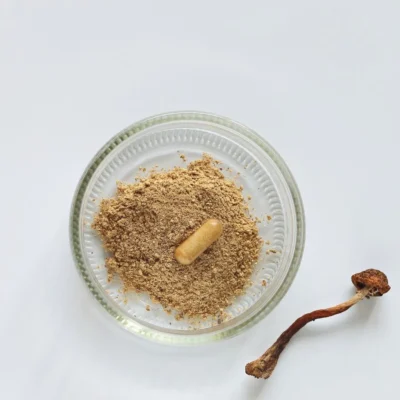 magic mushrooms kaufen